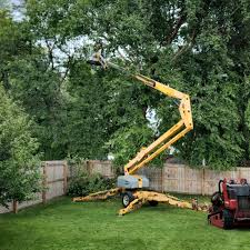 Best Lawn Grading and Leveling  in Boise City, OK